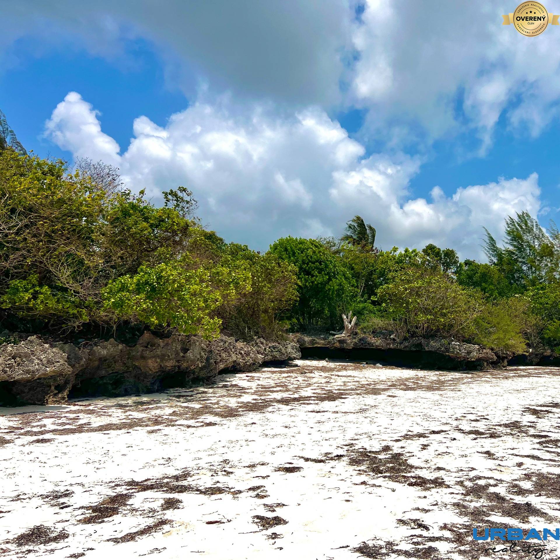 BEACHFRONT LAND FOR SALE IN JAMBIANI