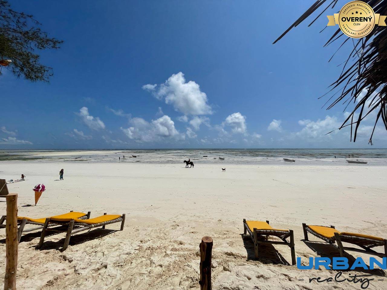 RUSTIC STYLE APARTMENT FOR SALE IN ZANZIBAR