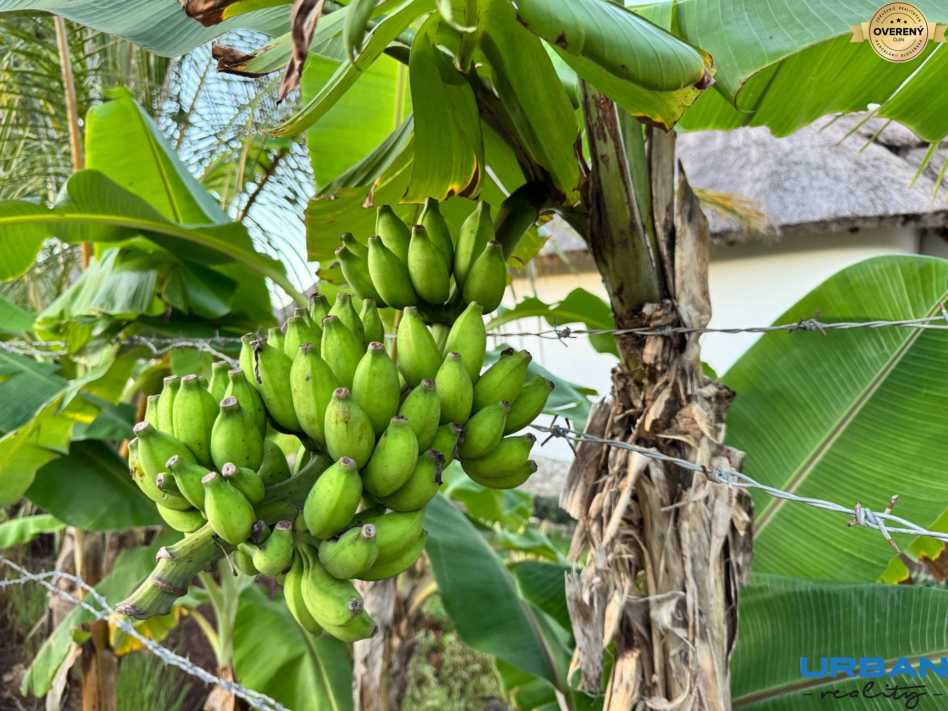 FAIRYTALE BUNGALOW FOR SALE IN ZANZIBAR