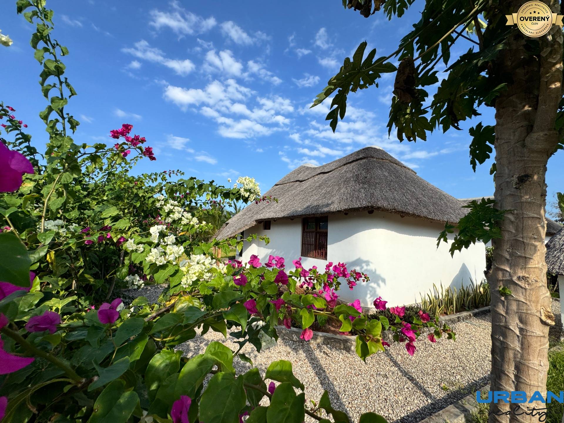 FAIRYTALE HOUSE FOR SALE IN ZANZIBAR