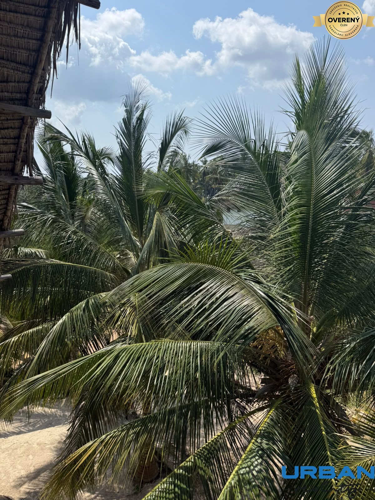 OFF-PLAN 2 BEDROOM DETACHED VILLA IN ZANZIBAR