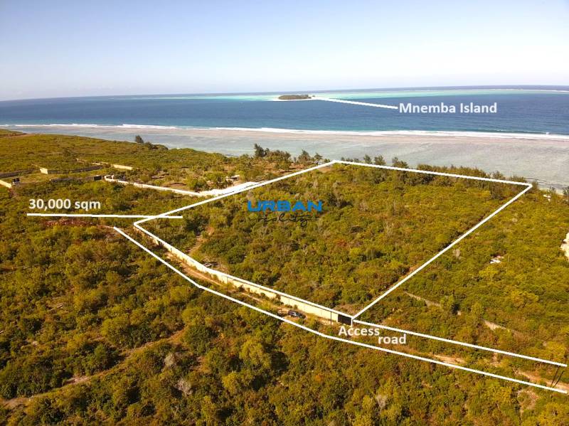 Investment Beach Land in Matemwe