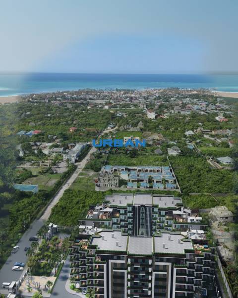 THE EYES OF ZANZIBAR 