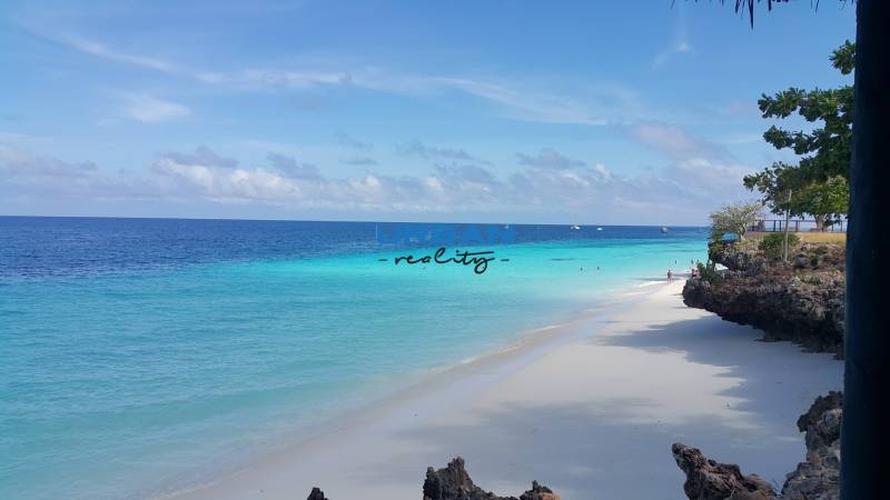 THE EYES OF ZANZIBAR 