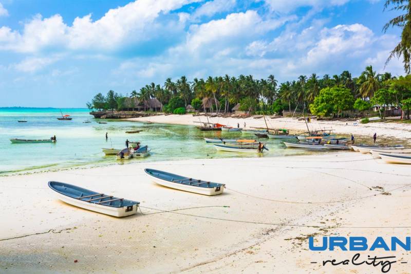 Land  9000 sqm only 100 m from the beach in Kizimkazi